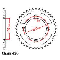 Rear Sprocket - Steel 45T 420P