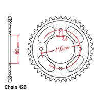 Rear Sprocket - Steel 41T 428P (CBF125M)