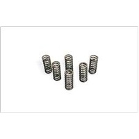 CLUTCH SPRING KIT