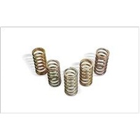 CLUTCH SPRING SET