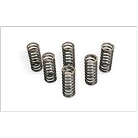 CLUTCH SPRING KIT (SET OF 6)