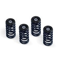 DUCATI CLUTCH SPRING KIT, BLACK