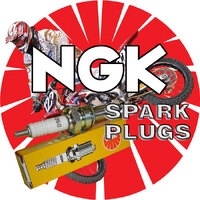 NGK BR6HS Group 2 - Single Plug