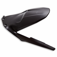 Ducati Genuine Panigale/Streetfighter V4 Carbon Rear Mudguard