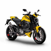 Ducati Genuine Monster Python Yellow Customised Fairings