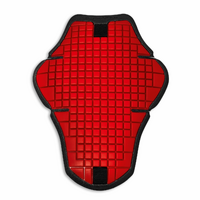 Ducati 'Warrior 2' Back Protector (For Prepared Leather Jacket)