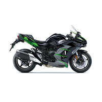 Ninja H2 SX SE (MY24)