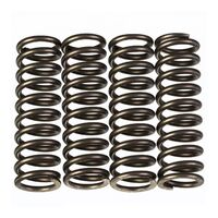 Premier Clutch Springs - Heavy Duty