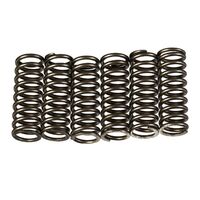 Premier Clutch Springs - Heavy Duty