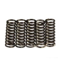 Premier Clutch Springs - Heavy Duty