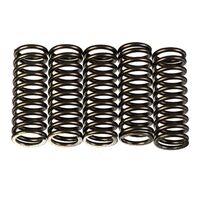 Premier Clutch Springs - Heavy Duty