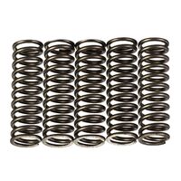 Premier Clutch Springs - Heavy Duty