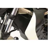 RAD GUARD BLK SUZ GLADIUS