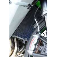 TI/RACE/RAD GUARD GSXR1000 K9-