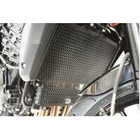 RAD&O/COO/GUA BK SPEEDTRIPLE10