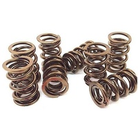 Ape Pro Race Spring Kit Suzuki Gs1150 '78-79