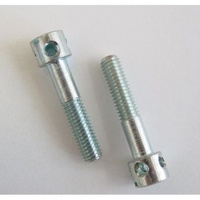 Yoshimura 8 x 25mm DRILLED SOCKET HD Screw